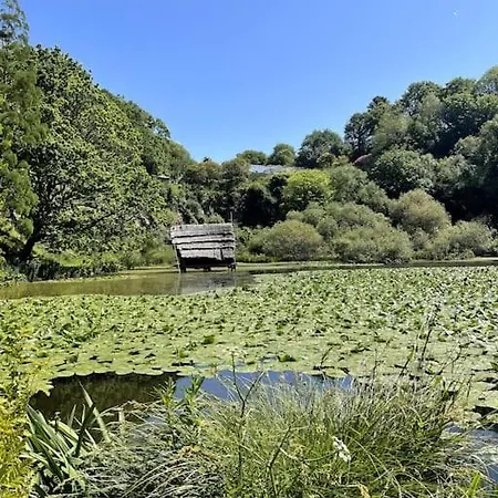 Ideal Pour Visiter La Region Brestoise * Brest
